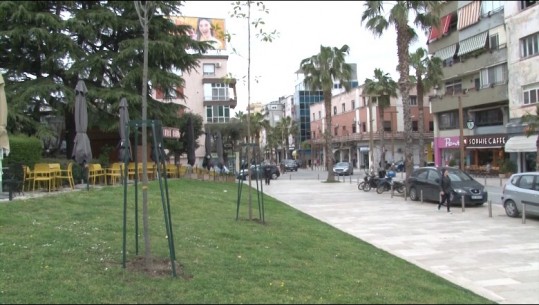 Bashkia e Durrësit 14 mln lekë tender për 505 pemë! Rritet taksa e gjelbërimit për qytetarët: Kemi vështirësi për të paguar faturat, po s'kemi gjë në dorë