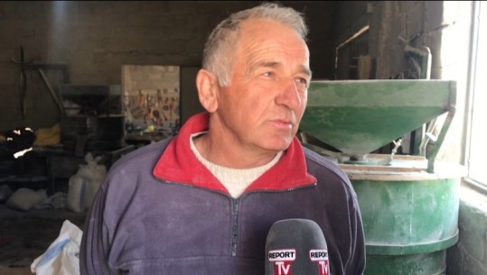 Avdul Zebi rikthen traditën e mullirit të blojës: Investimi është i vogël, por përkushtimi ndaj punës është i madh