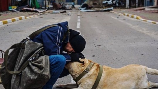 Lufta/ 355 qen ngordhin në strehimoret e kafshëve në Borodyanka gjatë pushtimit rus 
