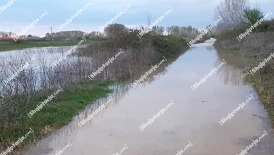 Shirat e dendur në vend, dhjetra hektarë tokë përmbyten në fshatrat e Fushë-Krujës (VIDEO)
