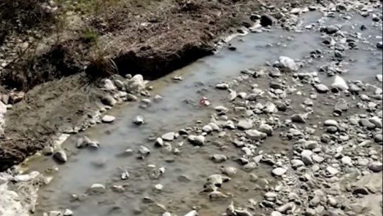 Shkarkonte mbetjet në lumin Osum, pas denoncimit në Report Tv, Agjencia e Mjedisit Berat i pezullon aktivitetin fabrikës së lëkurës! Gjobitet edhe me 500 mijë lekë