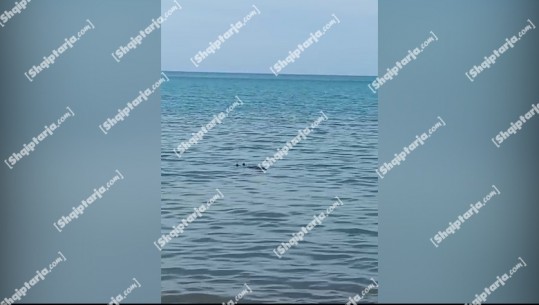 Mbytet një grua në Durrës, çanta dhe sende personale i gjenden në breg (VIDEO)