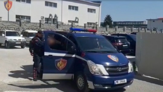 Tentuan të kalon kufirin me pasaporta të falsifikuara, arrestohen 2 të rinjtë në Rinas