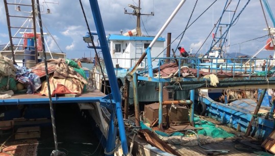 Rritja e çmimit/ Peshkatarët fikin anijet në Vlorë: Nafta 150 lekë për litër, prej një muaji s’dalim në det për të peshkuar