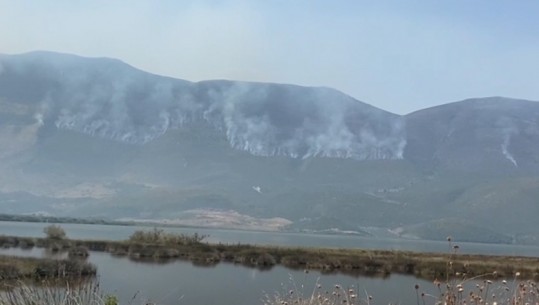 Vlorë/ 80 vatra zjarri të qëllimshme në 45 ditë, kreu i zjarrfikësve: Qytetarët të ruajnë mjedisin