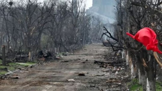 Ministri rus i Mbrojtjes: Rusia ka marrë Mariupolin! Kievi e mohon: Ende 2 mijë ushtarë po luftojnë në fabrikën e çelikut