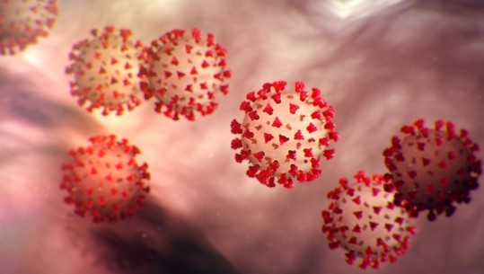 Regjistrohen 55 raste të reja me koronavirus në vendin tonë, asnjë humbje jete në 24 orët e fundit