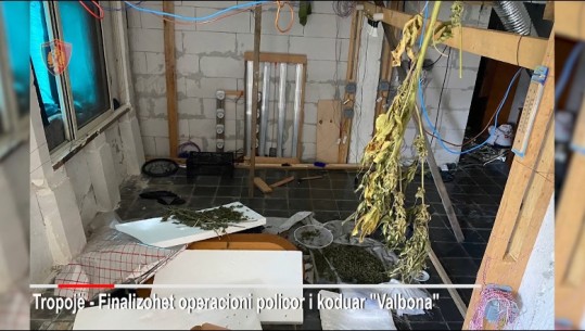 Zbulohet 'shtëpi bari' në Tropojë! Shpallet në kërkim pronari i banesës, vihet nën hetim elektriçisti (VIDEO)