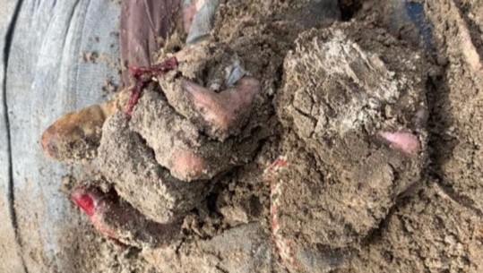 Civilë me thonjë të shkulur dhe duar të lidhura, zbulohet një tjetër varr masiv në Kiev 