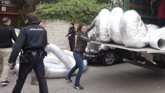 Spanjë/ Shkatërrohet rrjeti i trafikut të drogës që drejtohej nga dy shqiptarë, zotëronin disa ‘shtëpi bari’ 