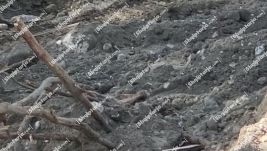 Po kryheshin punime në rrugë, gjenden eshtra në pyllin e Sodës në Vlorë, dyshohet se i përkasin një njeriu (VIDEO)