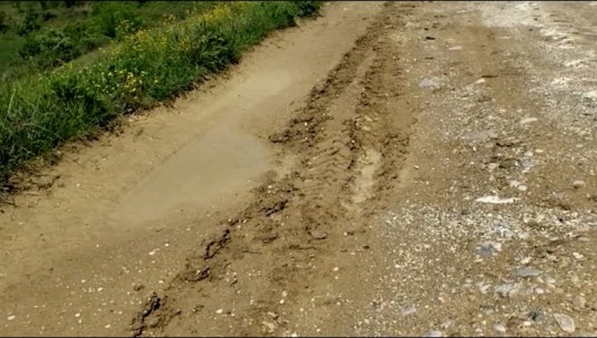 Me 400 hektarë tokë ullinj, Fshati Goraj në Kuçovë mbetet pa rrugë, banorët: Prodhojmë vaj ulliri, por s'kemi ku e shesim