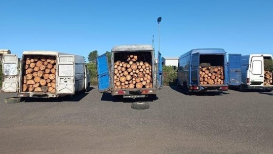 Lezhë/ Po transportonin me furgon drurë të prerë në mënyrë të paligjshme, gjobiten 4 persona