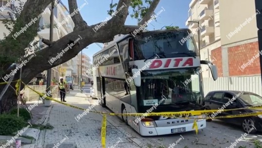 Tentoi t'i shmanget kamionit, autobusi me 80 turistë përplaset me pemën në Vlorë (VIDEO)