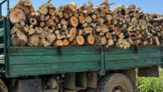 Pogradec/Po transportonte drurë të prerë në mënyrë të paligjshme, vihet nën hetim 36-vjeçari