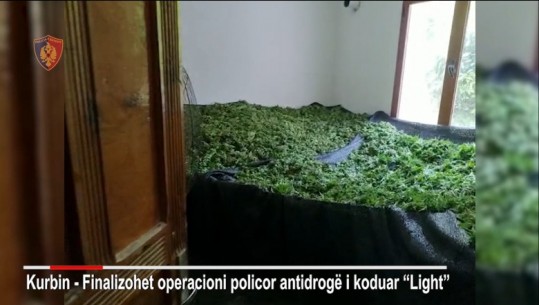 Kishte kthyer shtëpinë në magazinë për të përpunuar drogë, arrestohet i riu në Lezhë! Sekuestrohet 57 kg lëndë narkotike dhe 100 bimë kanabis
