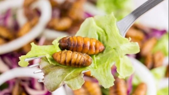 Fëmijët e disa shkollave fillore në Mbretërinë e Bashkuar do të ushqehen me insekte, do testohen përfitimet e 'proteinave alternative'