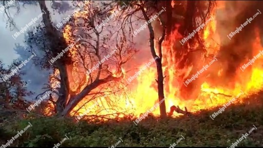 Zjarri në Ishullin e Sazanit, ministri i Mbrojtjes: Janë izoluar disa nga vatrat! Trupat e FA e kishin të vështirë ndërhyrjen gjatë natës prej relievit