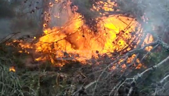 Prej tre ditësh në flakë, Report Tv sjell pamje brenda ishullit të Sazanit , vatrat e zjarrit ende aktive