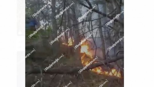 Zjarr i madh përshin pyjet pranë rrugës së Kombit (VIDEO)