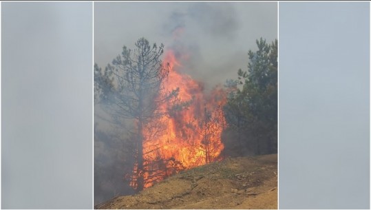 Zjarri në Mirditë, Ministria e Mbrojtjes: Është bërë i mundur izolimi i vatrës, shmaget rreziku për banesat