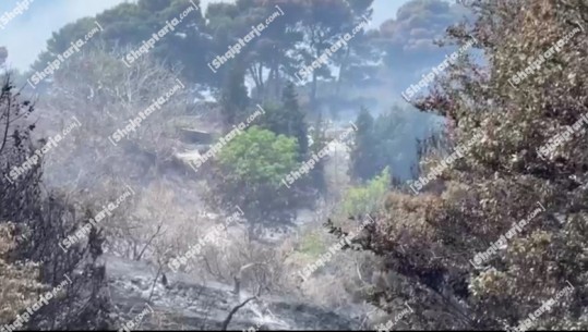 Bunkerë dhe pisha të shkrumbuara! Çfarë mbeti pas zjarrit në ishullin e Sazanit (VIDEO)
