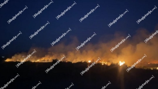 Zjarr i përmasave të mëdha në Tale të Lezhës, rrezikohet një biznes! 20 hektarë shkurre dhe bimësi të djegura (VIDEO)