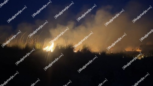 Vijon zjarri i përmasave të mëdha në Tale, në rrezik një biznes, 20 hektarë shkurre dhe bimësi të djegura