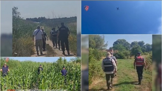 Kultivimi i kanabisit, kontrolle të imtësishme në Fier, angazhohen 100 policë, në dispozicion 3 dronë, gjenden disa fidanë kanabis në fshatin Martinë