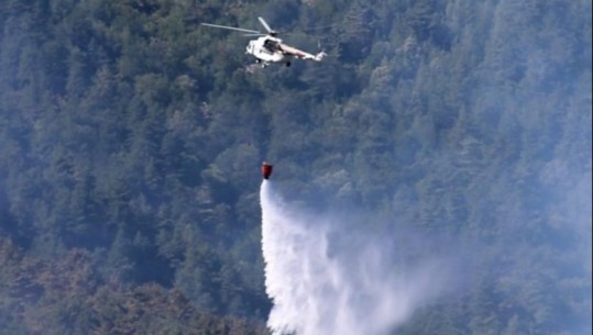  KLSH: Zjarrfikëset në Shqipëri të vitit 1960! Nga 4 helikopterë ‘cougar’ që kanë Forcat e Armatosura vetëm njëri është funksional
