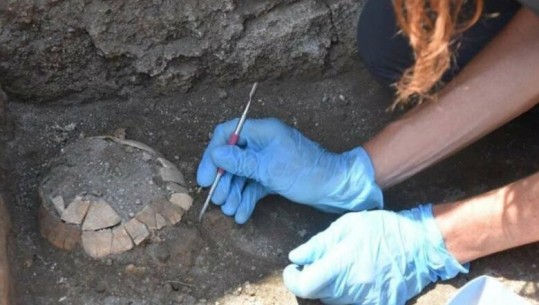 Në Pompei arkeologët gjejnë breshkën shtatzënë nën gërmadhat 2000-vjeçare