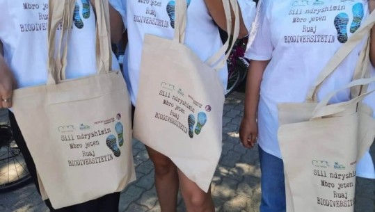 Ndalimi i qeseve plastike njëpërdorimshe, nga 1 korriku nisin gjobat për bizneset! Rama: Mbrojmë Shqipërinë dhe fëmijët