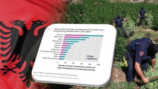 Raporti i OKB i Drogave: Në vitet 2016-2020 Shqipëria renditet e shtata në botë për kultivimin dhe përdorimin e kanabisit
