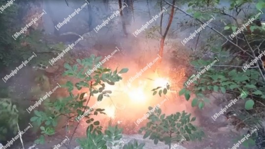Velipojë, zjarr në pyllin e Malikolajt, vështirësi në ndërhyrje për shkak të terrenit (VIDEO)