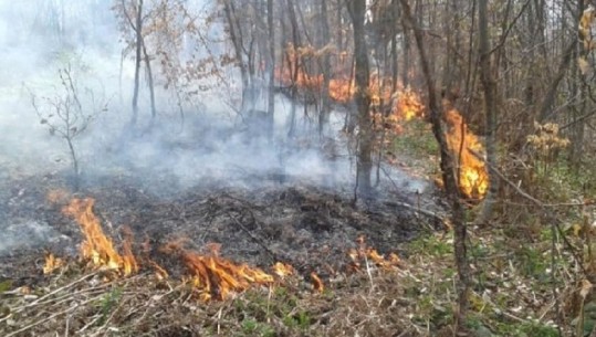 Situata e zjarreve në vend, reagon Ministria e Mbrojtjes: Nuk ka rrezik për zonat e banuara