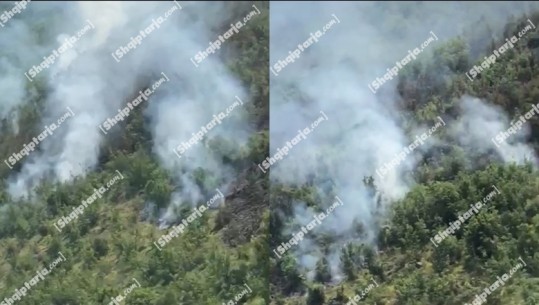 Zjarr në malin e Torovicës në Lezhë, rrezikohen 3 banesa, digjen 15 hektarë bimësi