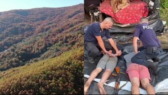 VIDEO/ Të shtrirë në tokë dhe me pranga në duar, momenti kur arrestohen 2 të rinjtë në Shkodër, u kapën duke u kujdesur për parcelat me kanabis mes pyllit 