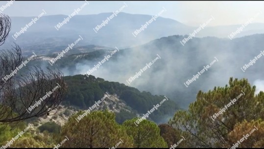 Zjarr në  fshatin Krastë të Krujës, shkrumbohen mbi 10 hektarë pyje, dyshohet për zjarrvënie të qëllimshme