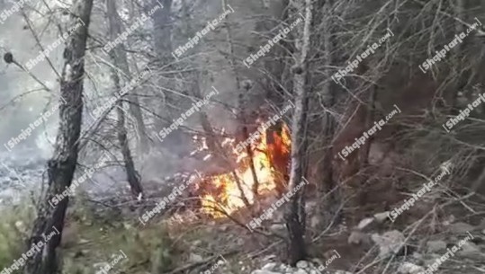 Vijon të përparojë zjarri në Krastën e Krujës! Vetëm dy zjarrfikëse në zonë, asnjë institucion nuk ndërhyn
