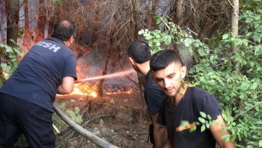 Vihet nën kontroll vatra e zjarrit në Krastën e Krujës, shkrumbohen 100 hektarë pyje