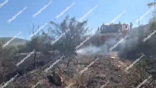 Zjarr në Finiq të Sarandës, digjen pemë e vreshta! (VIDEO) 