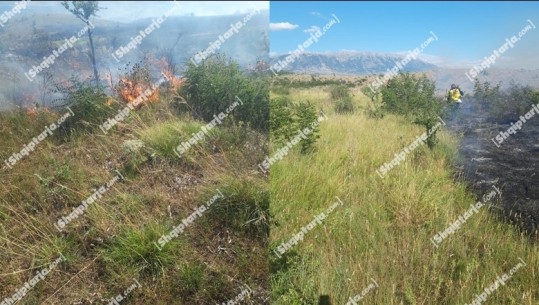 Zjarr në Memaliaj, flakët avancojnë me shpejtësi në kullota! Digjen 2 hektarë tokë (FOTO) 