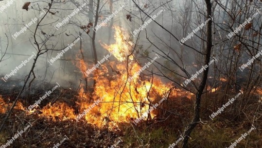 Zjarr masiv pranë një fabrikë në Zallë të Fushë Krujës! Dyshohet të ketë qenë i qëllimshëm nga barinjtë e zonës (VIDEO)