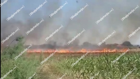 Nuk ndalen flakët në Vlorë, merr zjarr një sipërfaqe e fshatit Delisuf! Në vendngjarje efektivë e zjarrfikës (VIDEO)