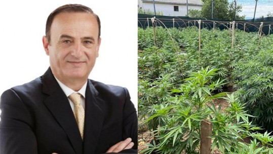 Zbulohet fabrika e drogës në Ohër! Mediat maqedonase: Arrestohet dhëndri i kryebashkiakut të Pogradecit! Reagon Xhangolli: Është me pushime në Turqi
