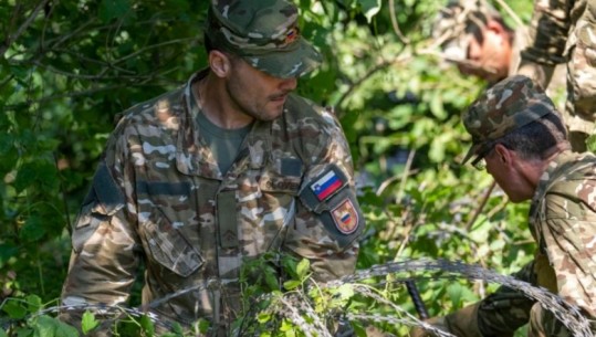 Ushtria sllovene heq telin me gjemba përgjatë kufirit me Kroacinë