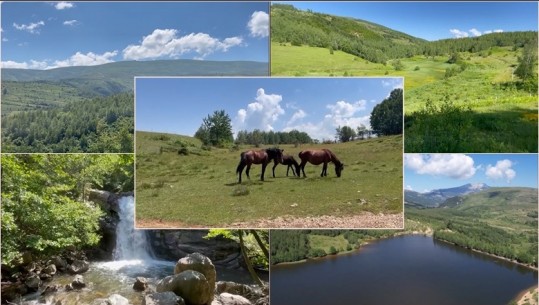 'Shqipëria turistike'/ Ngjitje në Shtegun e Ngjyrave, magjia e lëndinave alpine! Turistët: Lugina e bukur, ajri i pastër e banorët mikpritës
