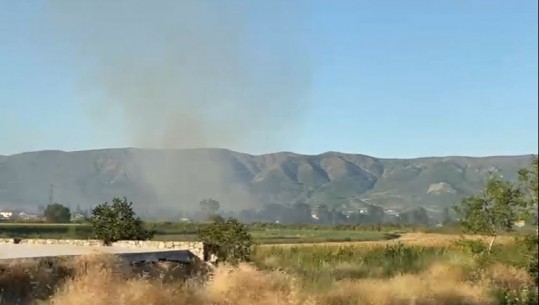 Zjarr në Lezhë, rrezikohen disa banesa të fshatit Piranj