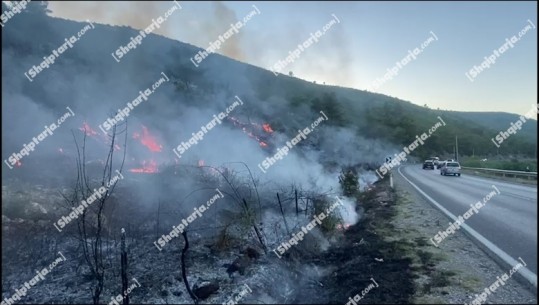 Përfshihet nga flakët masivi pyjor në autostradën Lezhë-Shkodër, zjarri shumë pranë banesave