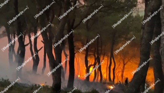 Zjarret në vend, Ministria: Vatra aktive në 5 qarqe, në Shkodër e në Bizë të Durrësit situata më e rënduar, rrezikohen banesa
